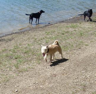 glörtalsperre 004.jpg