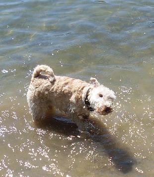 glörtalsperre 007.jpg