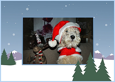 400x286-1 DSC00514.jpg