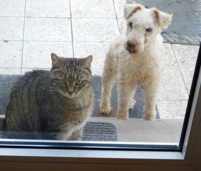 K800_vor der tür - DSCN0740.JPG