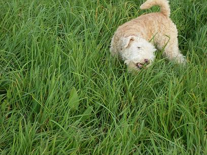 Ruhr september 2010 005.jpg