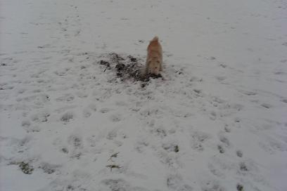 ....dann buddel ich einfach mal ein Loch.