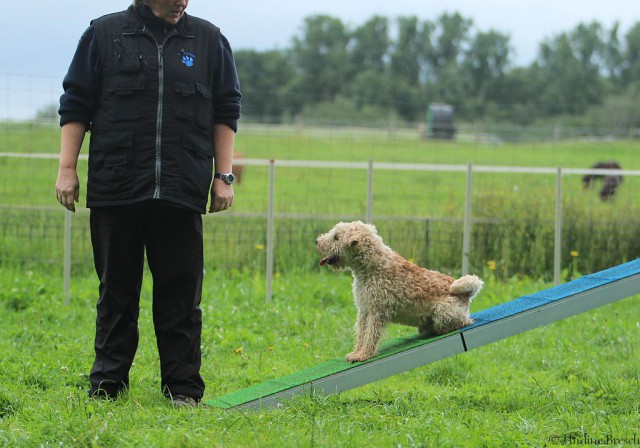 Solli auf der Kontaktzone. Sieht allerdings inzwischen besser aus