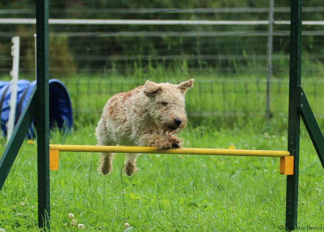 Sprung auf den Milimeter